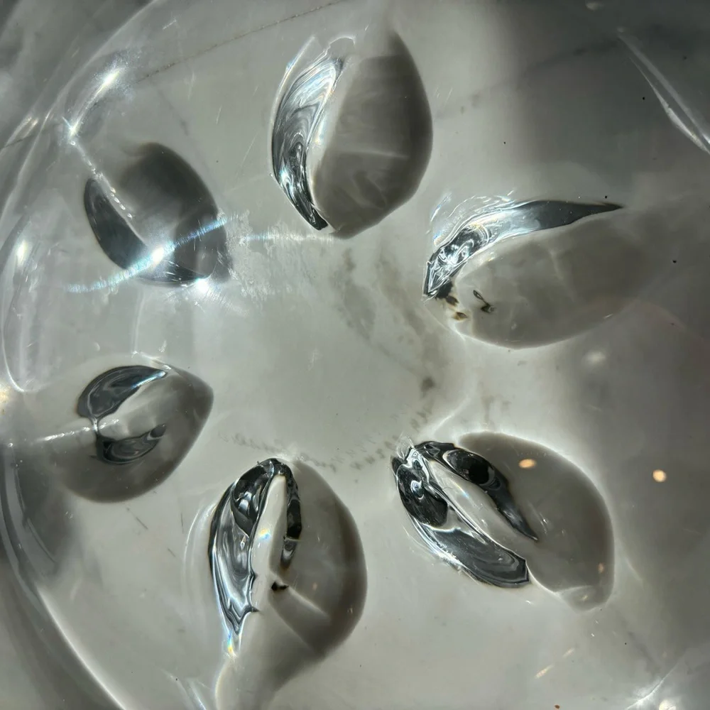 Orrefors Kosta Boda Floral Leaf Crystal Glass Decorate Plate